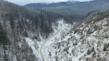 uçan kış orman dağlarda 06 üzerinde