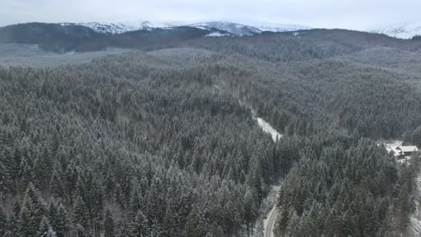 Літати над лісом взимку в горах 04 — стокове відео