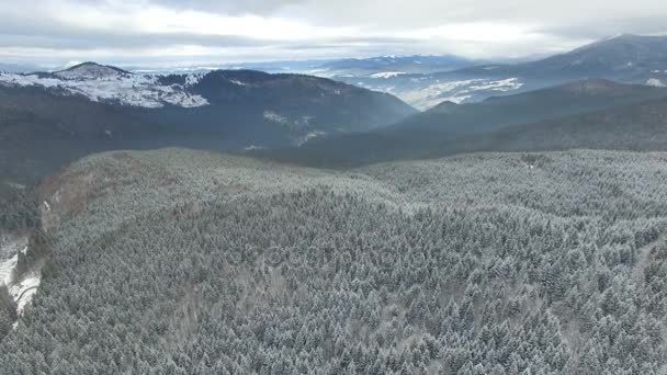 Літати над лісом взимку в горах — стокове відео