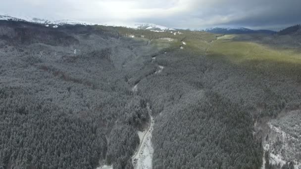 山の雪に覆われた松林便します。曇り — ストック動画
