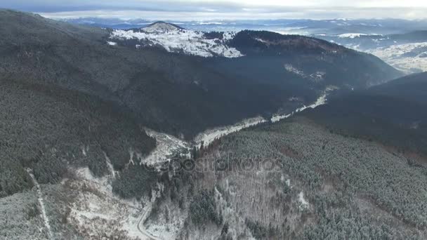 Voo sobre a floresta de pinheiros coberta de neve nas montanhas — Vídeo de Stock