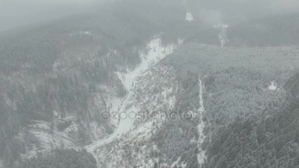 Höhenflug über dem Winterwald — Stockvideo