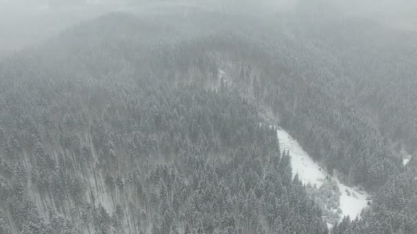 Vuelo sobre el bosque de invierno cubierto de nieve — Vídeo de stock