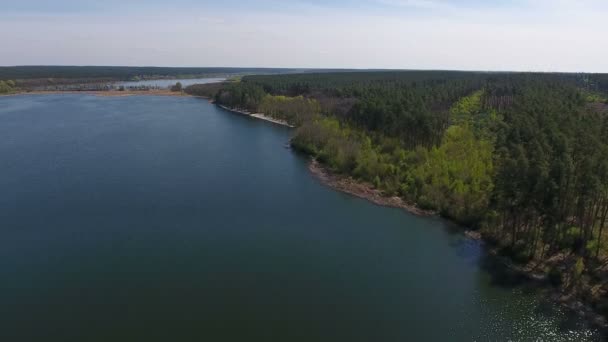 Skogen vid sjön. Flygfoto — Stockvideo