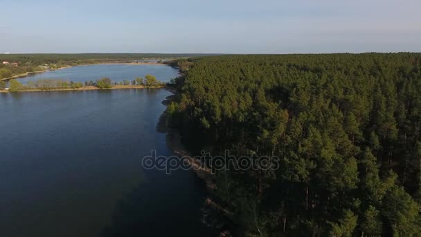 Repülés alatt a zöld fenyőerdőben, egy gyönyörű tó közelében. Légifelvételek — Stock videók