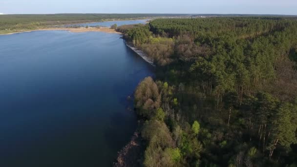 Nádherný letecký pohled z lesa v blízkosti jezera — Stock video