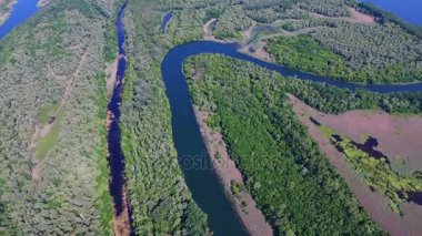 Aerial View: Flight over the amazing river and green forest