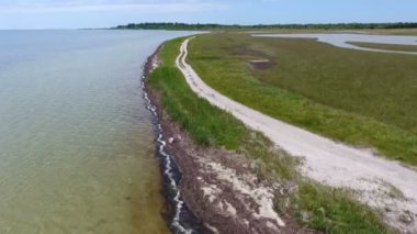 A striking bird`s eye view of the Black Sea shallow with green wetland and a straight road on a sunny day in summer. The drone flies along the coastline. The seascape is dark green and yellow