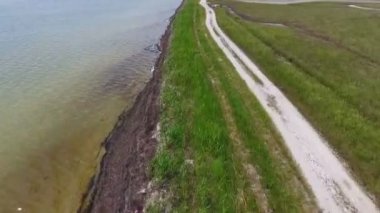 An exciting bird`s eye view of the Black Sea shelf with green wetland and a straight road on a sunny day in summer. The drone flies along the shore. The seascape is dark green, brown and yellow
