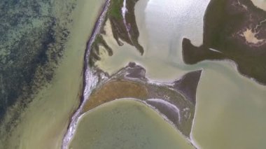 An arty bird`s eye view of the Black Sea coast with wavy lines forming some ancient creatures from salt, ponds and patches of multicolored wetland on a sunny day in summer. The landscape looks great