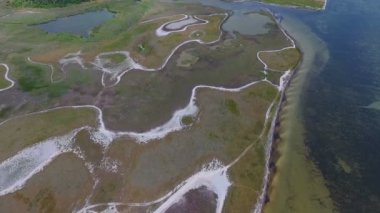 An op art bird`s eye view of the Black Sea shallow with salty lines making some high art drawings and green wetland on a sunny day in summer. The dark blue waters look inspiring and rough