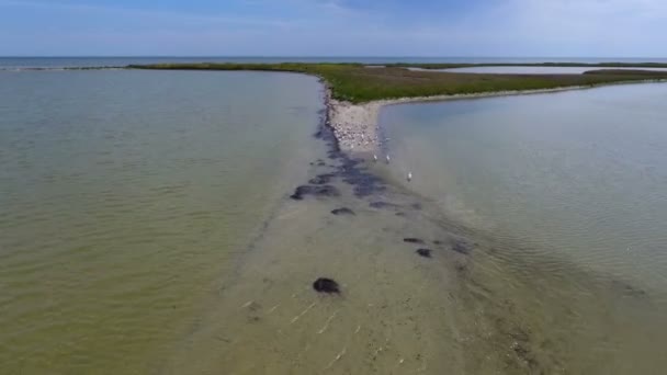 Eine Erstaunliche Vogelperspektive Auf Die Schwarze Küste Mit Rauem Sand Lizenzfreies Stock-Filmmaterial