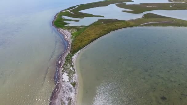 Une vue d'oiseau arty de la mer Noire peu profonde avec une flèche de sable courbée surréaliste recouverte de mauvaises herbes vertes et brunes par une journée ensoleillée en été. Le paysage marin semble rugueux et inhabituel 