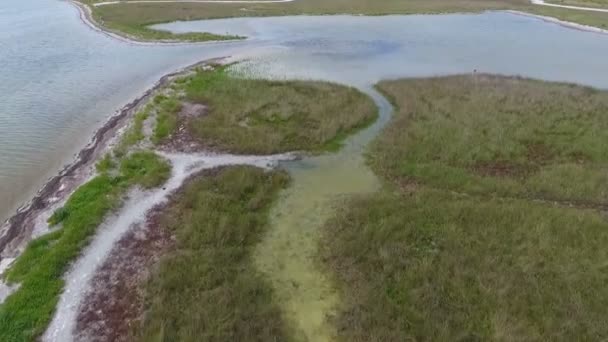 Impressive Bird Eye View Black Sea Shelf Salt Lines Dots — ストック動画