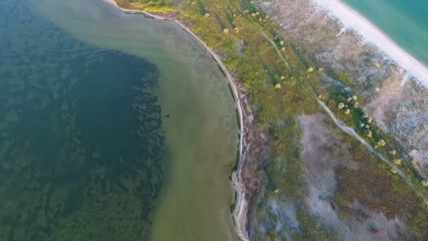 Een Origineel Vogelperspectief Zwarte Zee Zandspeeksel Bedekt Met Gras Zeewier — Stockvideo