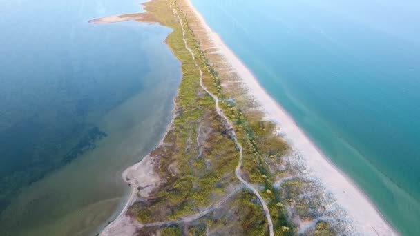 Eine Aufregende Vogelperspektive Auf Die Mit Salz Gras Und Algen Videoclip