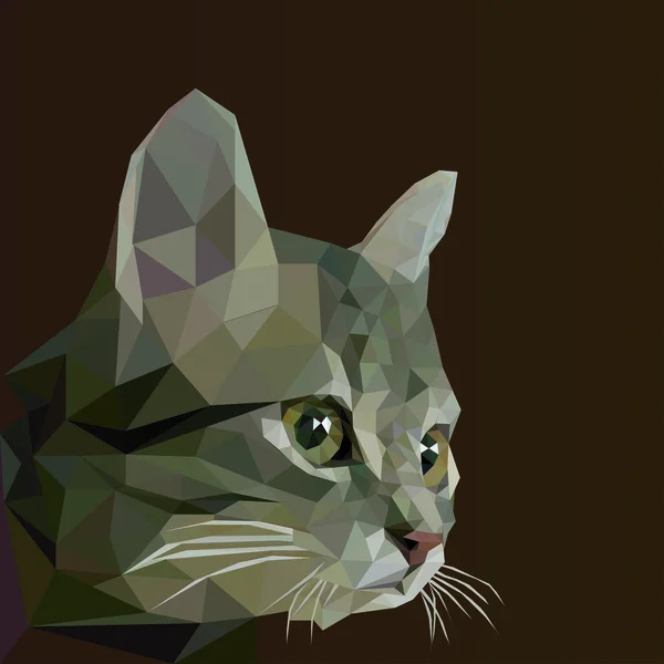 Cat low poly design — Stock Vector