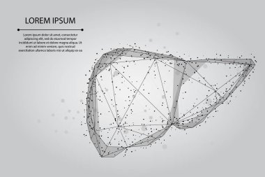 Soyut bir çizgi ve insan karaciğerini işaret ediyor. Düşük Politik Sağlık Vektörü İllüstrasyonu