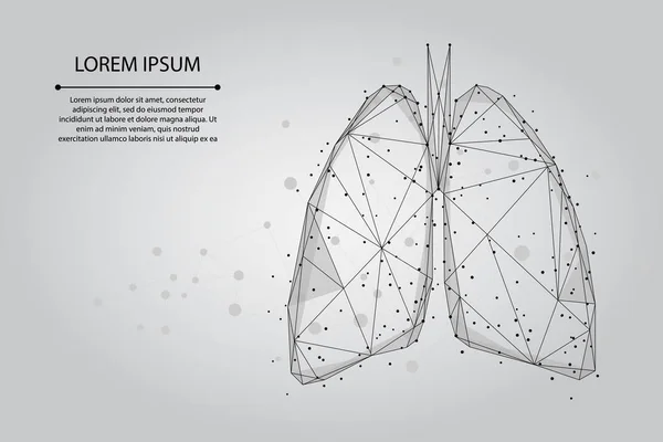 Línea Puré Abstracta Punto Los Pulmones Humanos Conectados Puntos Bajo — Vector de stock