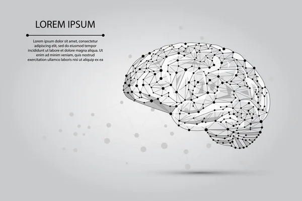 Ligne Purée Abstraite Point Cerveau Humain Réseau Neuronal Bas Poly — Image vectorielle