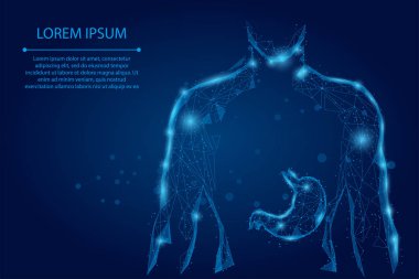 Soyut karışım çizgisi ve nokta adam silueti sağlıklı mide bağlantılı düşük polyester teller. Düşük polimer sağlık vektörü çizimi