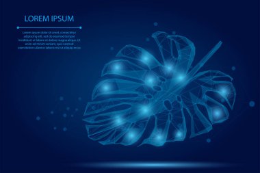 Soyut püre çizgisi ve sivri uçlu canavar yaprağı. Tropik palmiye vektör illüstrasyonunu terk etti