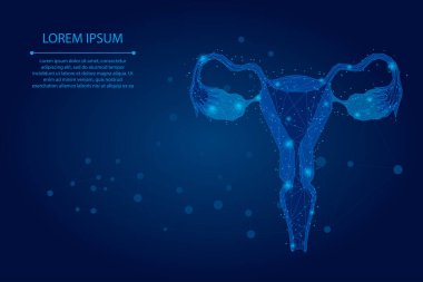 Soyut ağ çizgisi ve nokta yumurtalıkları. Düşük polyester kadın üreme organları rahim ve yumurtalık sağlık hizmetleri. Çokgen vektör çizimi