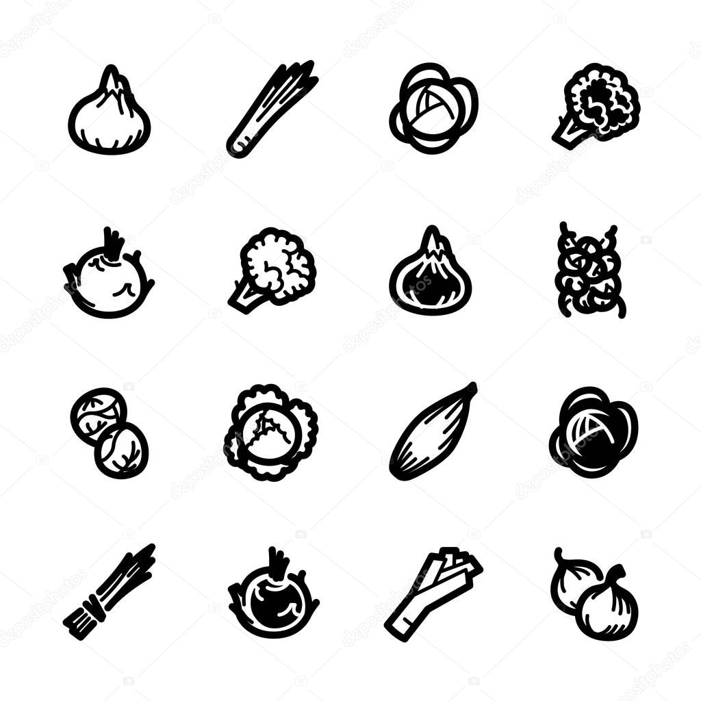 Vegetables icons - Onion, cabbage and cauliflower