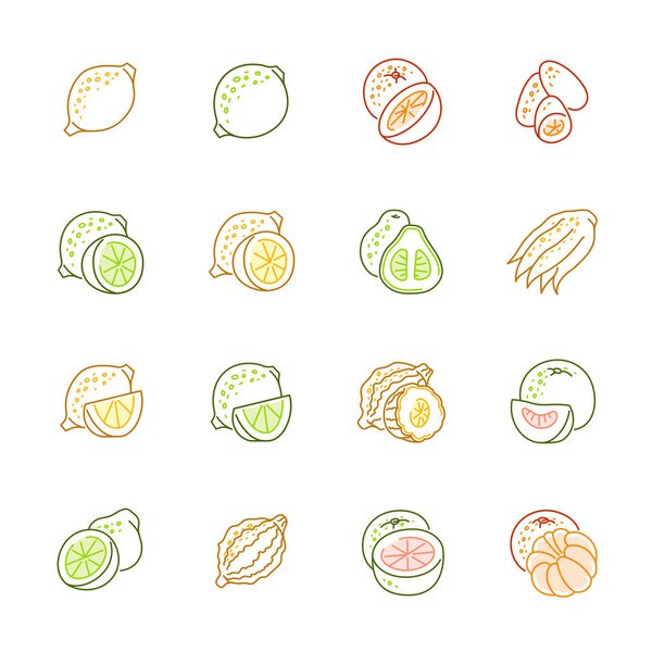 Citrus fruits icons - Lemon, orange and pomelo