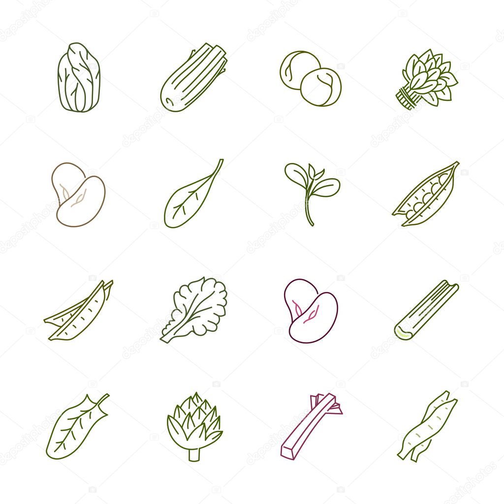 Vegetables icons - Lettuce, spinach, pea and beans