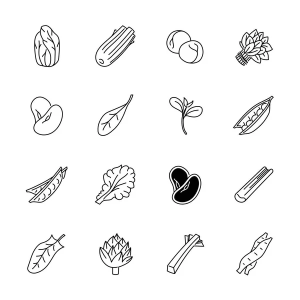 Значки с овощами - салат, шпинат, горох и бобы — стоковый вектор