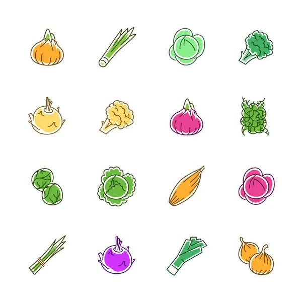 Vegetables icons - Onion, cabbage and cauliflower — Stock Vector