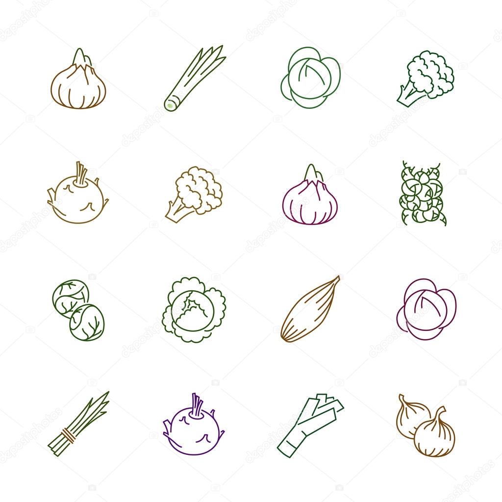 Vegetables icons - Onion, cabbage and cauliflower