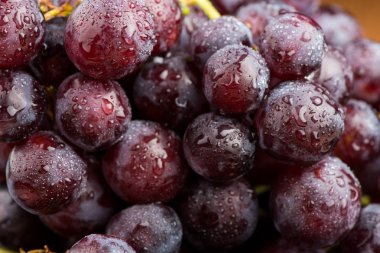 üzüm. Yakın çekim üzüm bir çilek. Tatlı üzüm