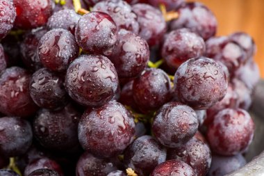 üzüm. Yakın çekim üzüm bir çilek. Tatlı üzüm