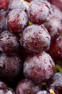 üzüm. Yakın çekim üzüm bir çilek. Tatlı üzüm