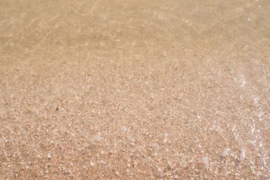 Deniz kıyısında. Dalga. Kum. Okyanus