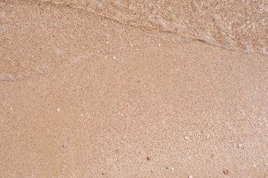 Deniz kıyısında. Dalga. Kum. Okyanus