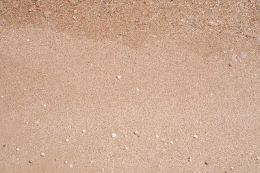 Deniz kıyısında. Dalga. Kum. Okyanus