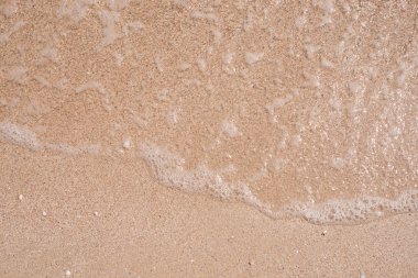 Deniz kıyısında. Dalga. Kum. Okyanus