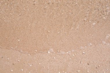 Deniz kıyısında. Dalga. Kum. Okyanus