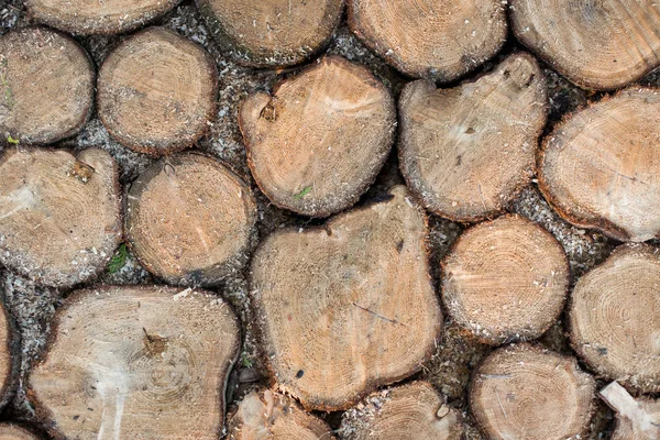 木の表面の質感 ボードテクスチャ — ストック写真
