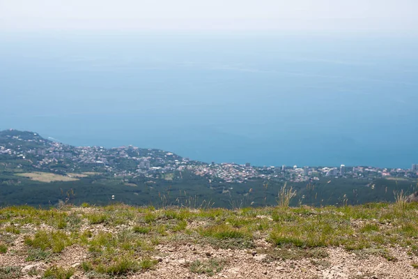 Dağda ladin yetişiyor. Güzel orman