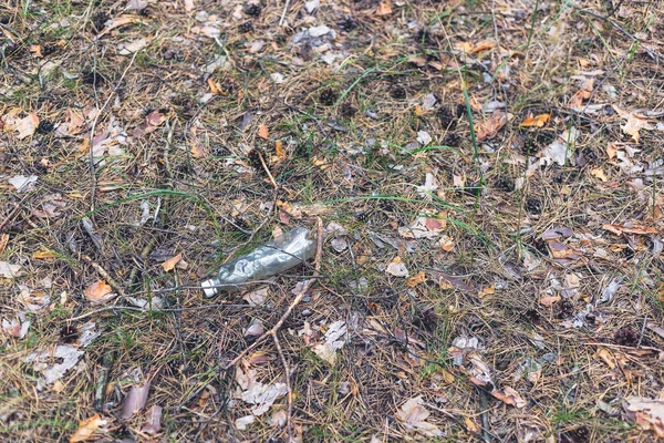 Vit plastflaska på marken i en tallskog. — Stockfoto