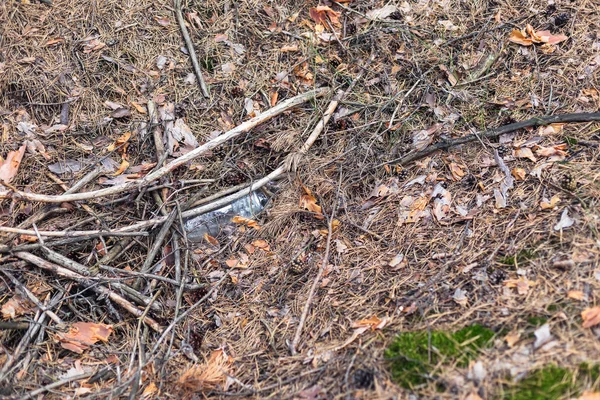 Weiße Plastikflasche auf dem Boden in einem Kiefernwald. — Stockfoto