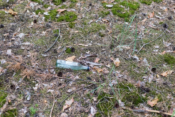 Botella de vidrio en el suelo en un bosque de pinos. — Foto de Stock