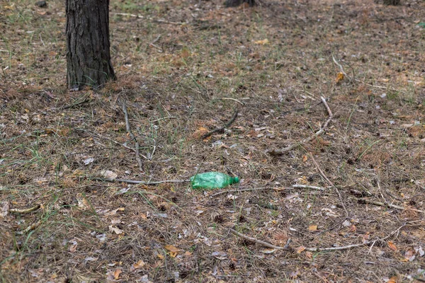 Zielona plastikowa butelka na ziemi w sosnowym lesie. — Zdjęcie stockowe