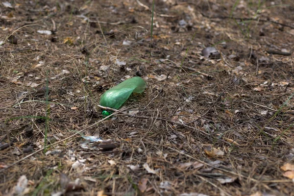 Green plastic bottle on the ground in a pine forest.
