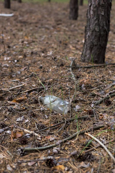 Biała plastikowa butelka na ziemi w sosnowym lesie. — Zdjęcie stockowe