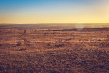 Tarladaki toprak yol eski köye çıkıyor.